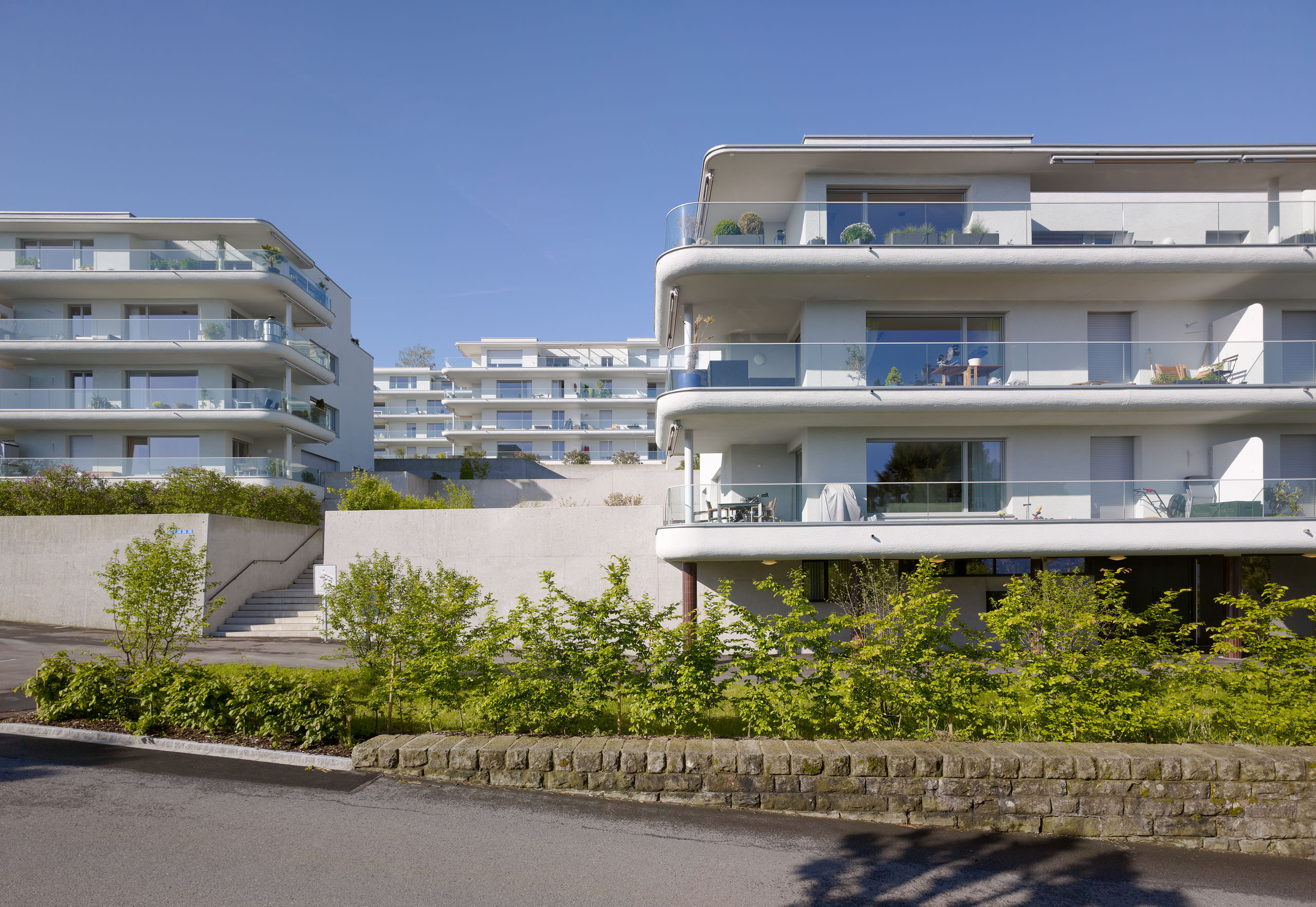 E11352 Alpa 035017p j2560